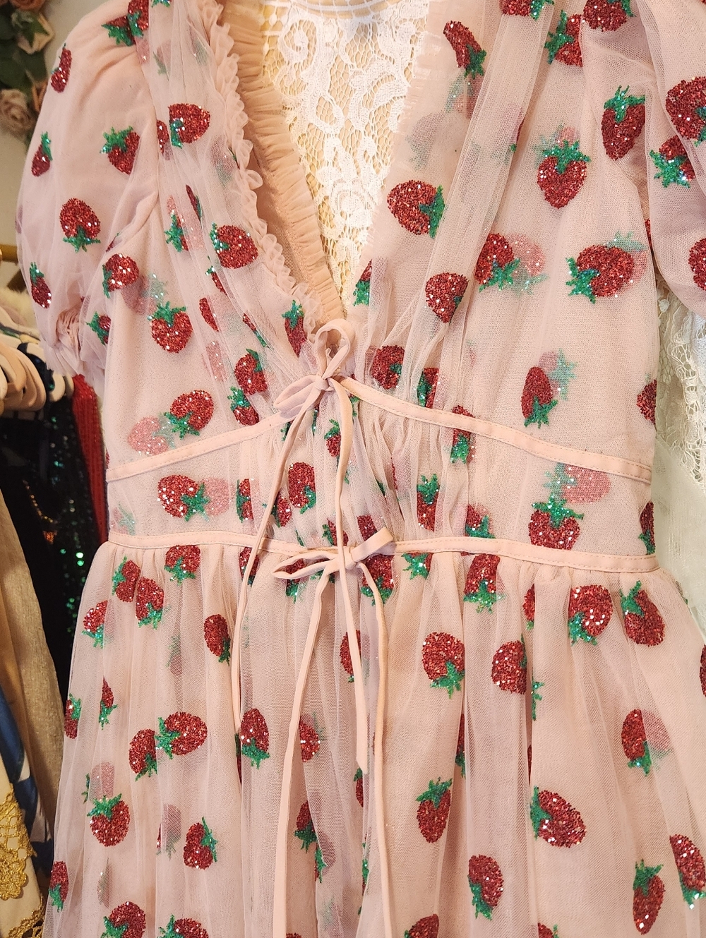 Lirika Matoshi Strawberry Dress Bundle Size XL & Pet M - Picture 9 of 16
